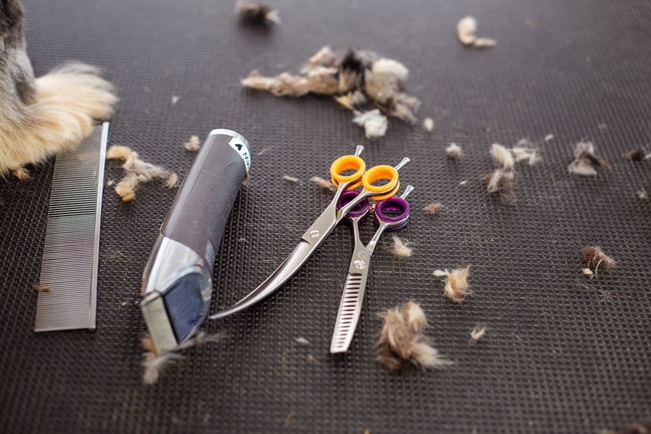Grooming trimmer attachments laid out on a surface